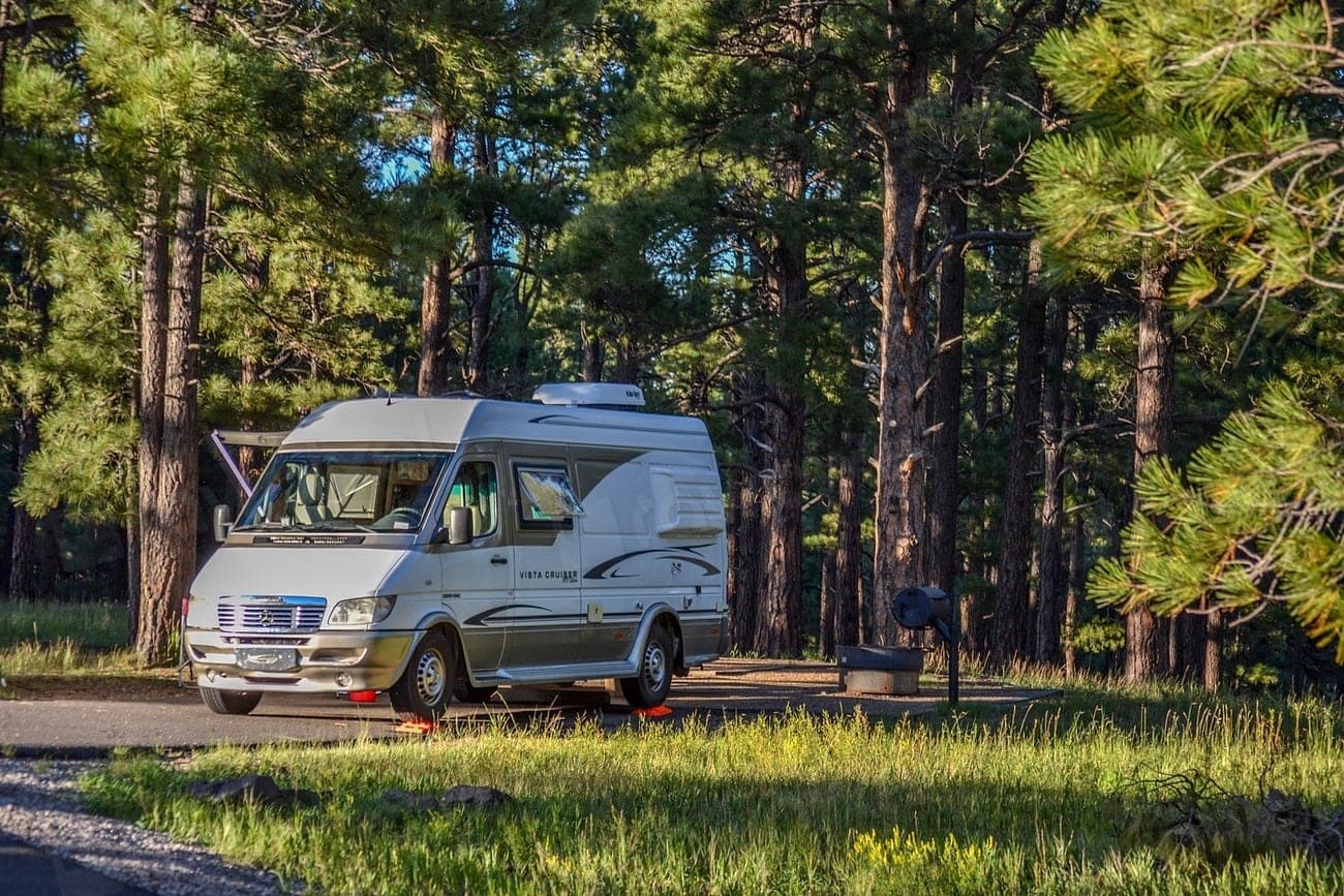 Camper parcheggiato in una pineta nella luce del mattino